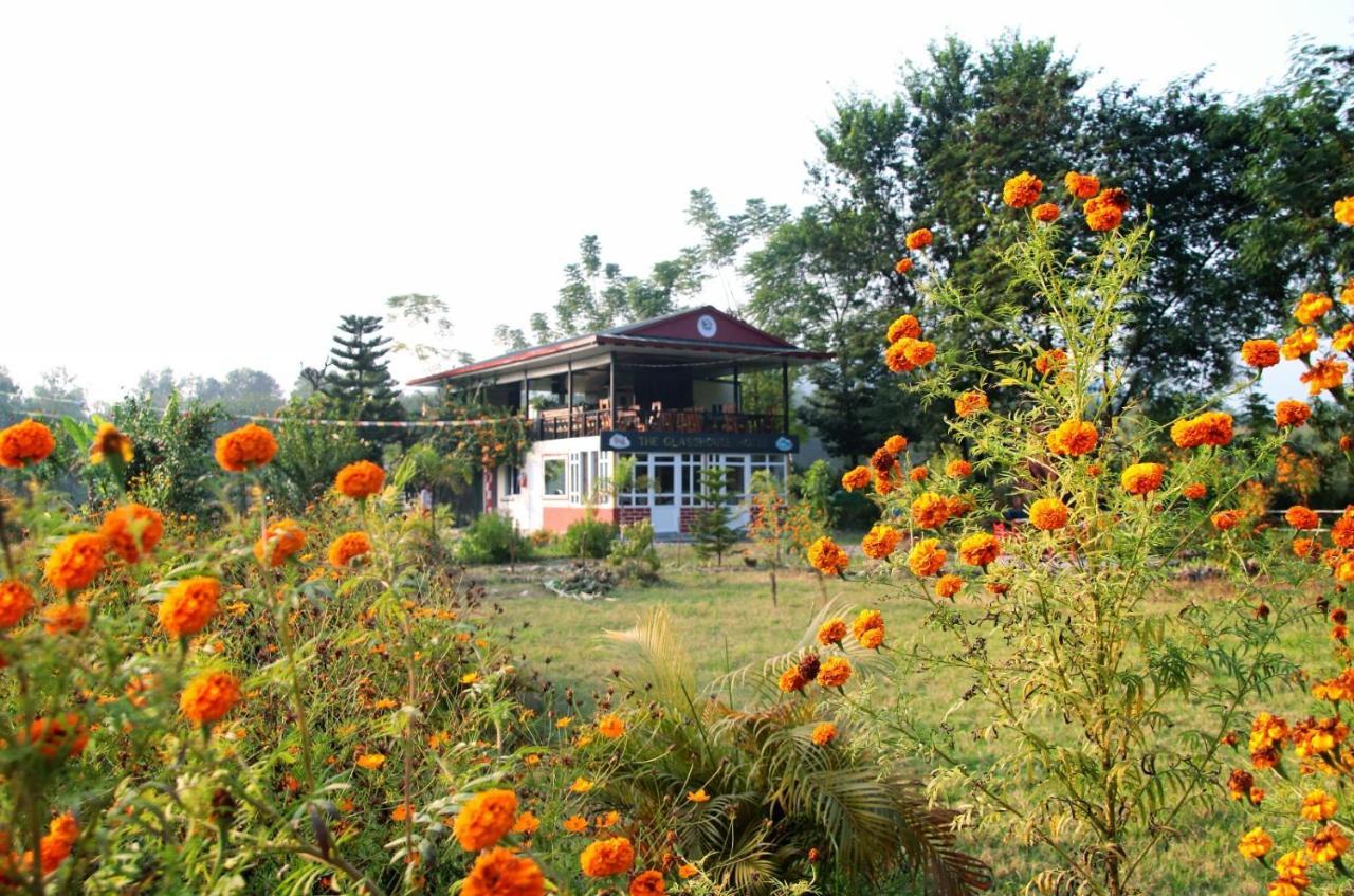The Glasshouse Hotel Kawasoti Dış mekan fotoğraf