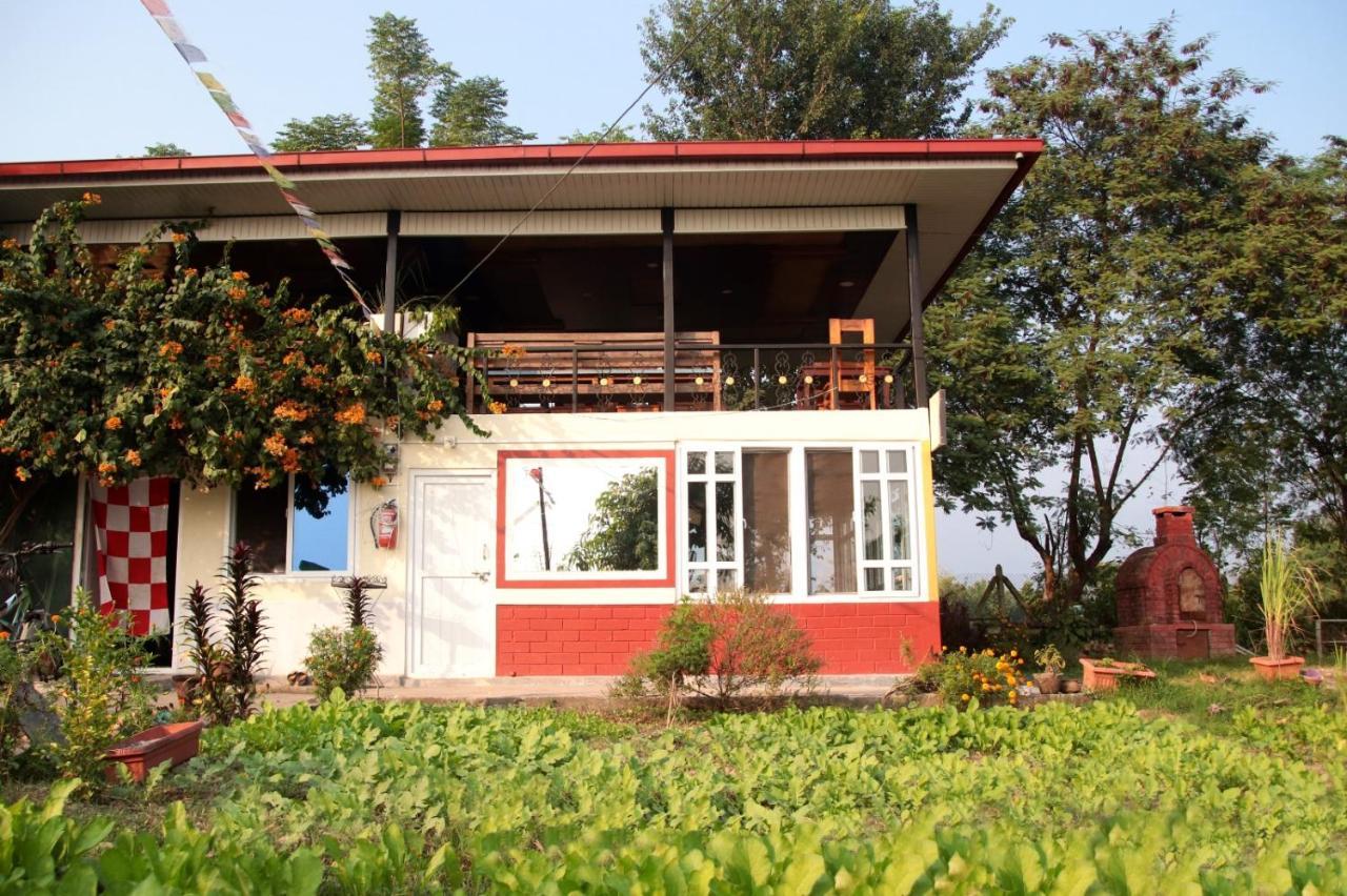 The Glasshouse Hotel Kawasoti Dış mekan fotoğraf
